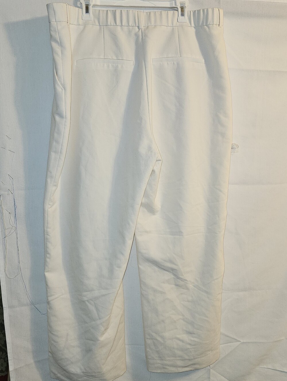 Abercrombie & Fitch Curve Love Sloane Tailored Pant Size 35 /20 - Picture 7 of 12